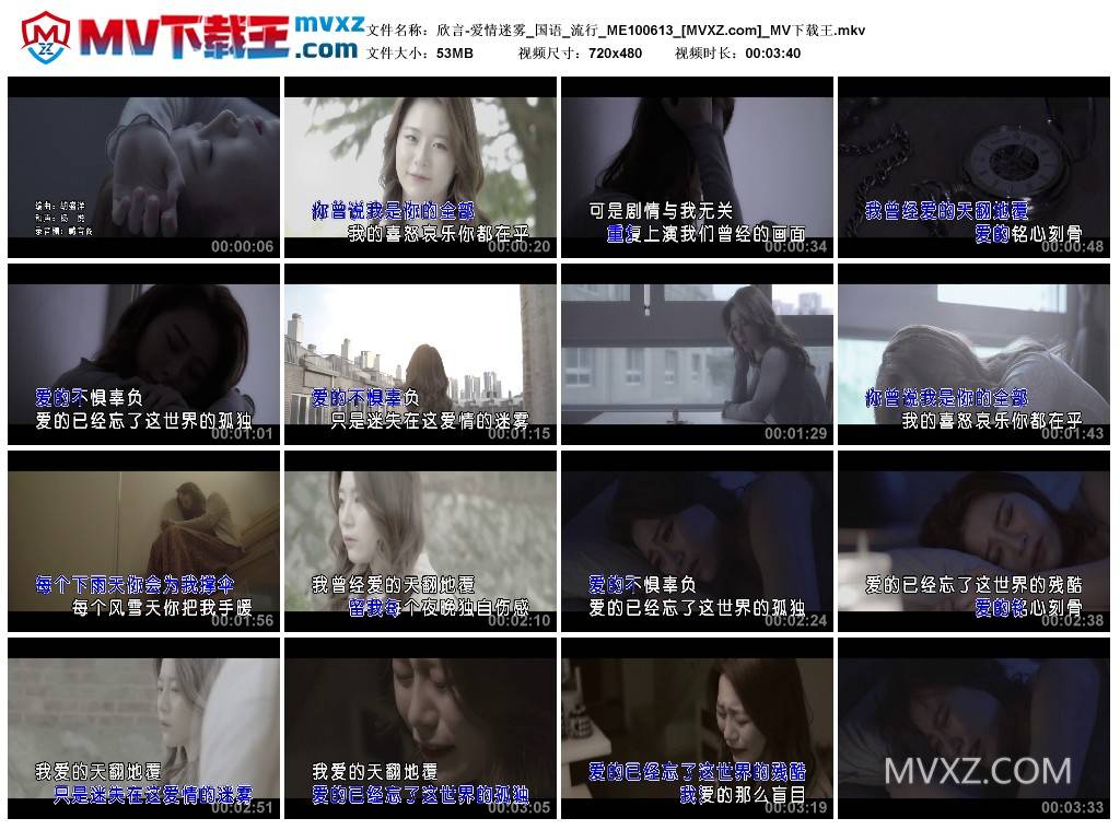 欣言-爱情迷雾_国语_流行_ME100613